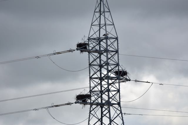 D72_3929